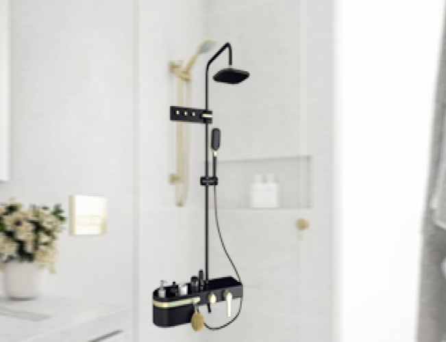 Exposed Shower Set & Diverter Panel