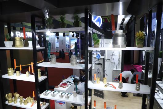 RN Successfull Exhibitions